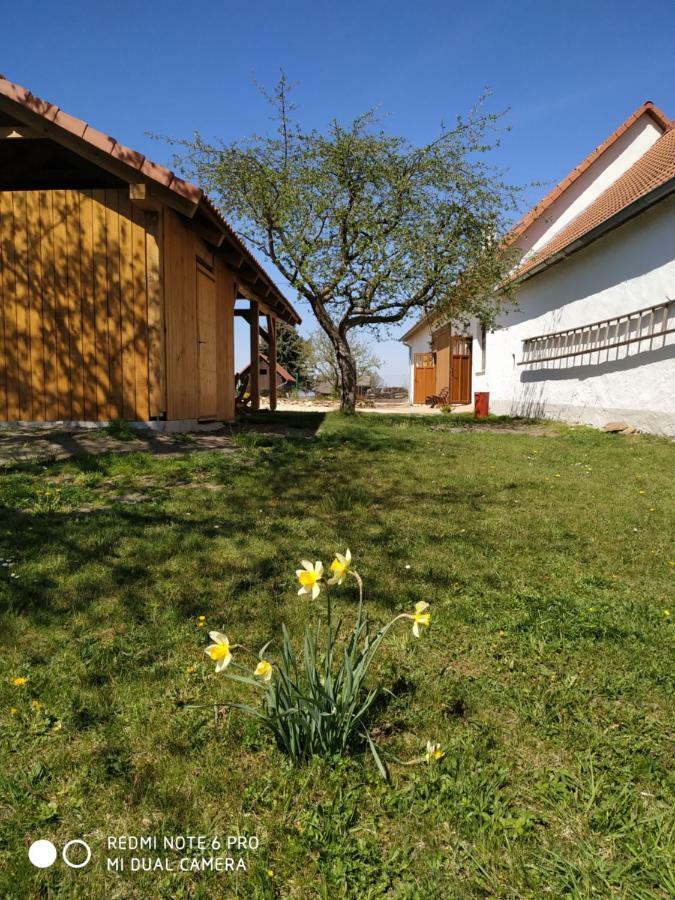 Ubytovani Ve Stodole Stráž nad Nežárkou Exterior foto